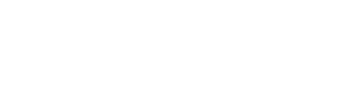 DesignX_logo(white)