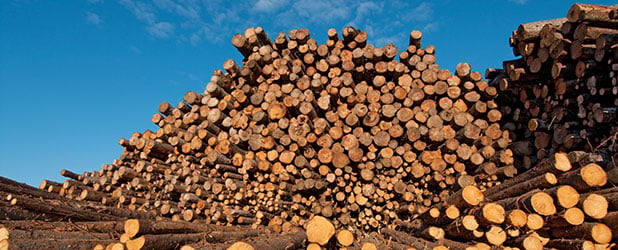 The Supply & Demand of Housing & Lumber